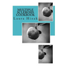 The Multiple Sclerosis Cookbook: Quick & easy recipes for living with multiple sclerosis