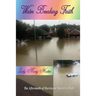 Water Breaking Faith: The Aftermath of Hurricane Harvey's Path