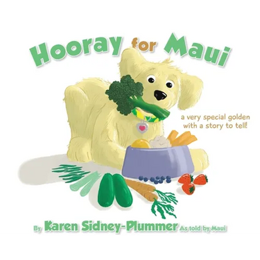 Hooray for Maui: A Very Special Golden with a Story to Tell