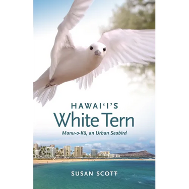 Hawai'i's White Tern: Manu-O-Kū, an Urban Seabird