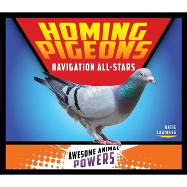 Homing Pigeons: Navigation All-Stars: Navigation All-Stars