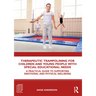 Therapeutic Trampolining for Children and Young People with Special Educational Needs: A Practical Guide to Supporting Emotional and Physical Wellbein