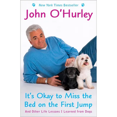 It's Okay to Miss the Bed on the First Jump: And Other Life Lessons I Learned from Dogs