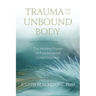 Trauma and the Unbound Body: The Healing Power of Fundamental Consciousness