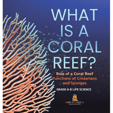 What is a Coral Reef? Role of a Coral Reef Functions of Cnidarians and Sponges Grade 6-8 Life Science