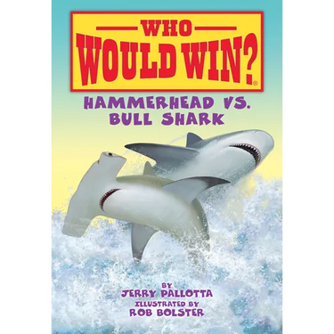 Hammerhead vs. Bull Shark