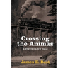 Crossing the Animas
