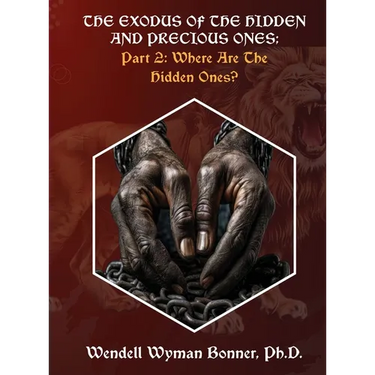 The Exodus of The Hidden and Precious Ones: PART 2: Where Are The Hidden Ones?