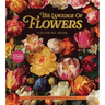 The Language of Flowers Coloring Book: A Floral Adventure Through Nature's Delicate Beauty