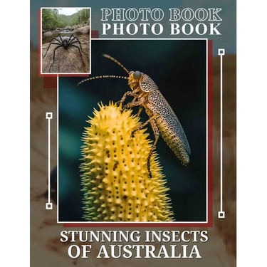 Stunning Insects Of Australia Photo Book: Explore Nature's MarvelsWith 40 Incredible Insect Images From Australia For Enthusiasts
