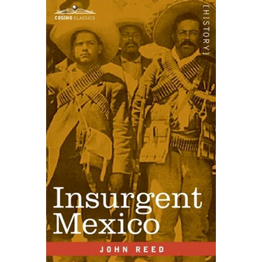 Insurgent Mexico