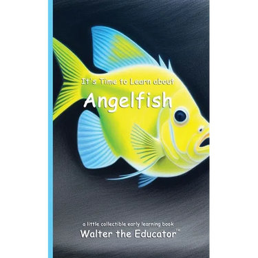 It's Time to Learn about Angelfish