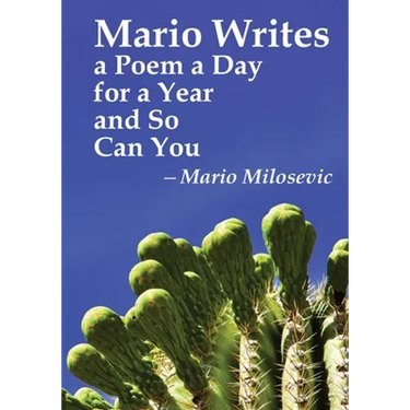 Mario Writes a Poem a Day for a Year and So Can You