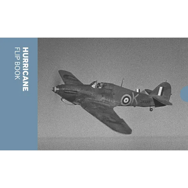 Hurricane Flip Book