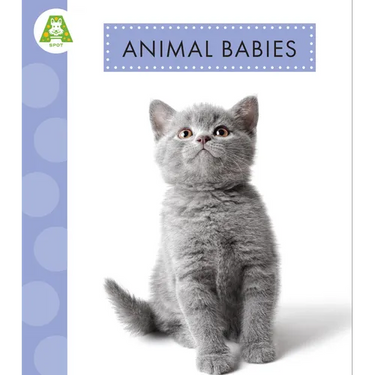 Animal Babies