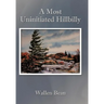A Most Uninitiated Hillbilly