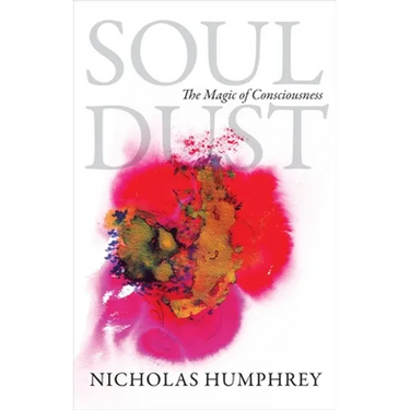 Soul Dust: The Magic of Consciousness