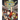 Pokémon Omega Ruby & Alpha Sapphire, Vol. 2