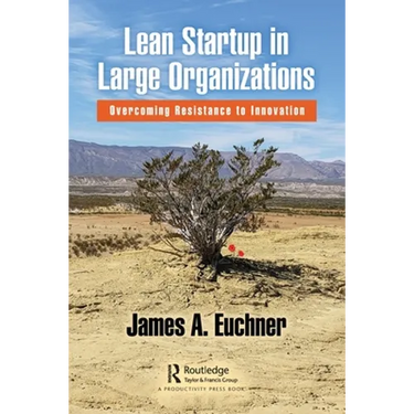 Lean Startup in Large Organizations: Overcoming Resistance to Innovation