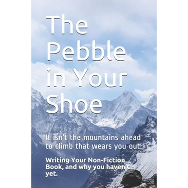 The Pebble in Your Shoe: Writing Your Non-fiction Book, and Why You Haven't - Yet.