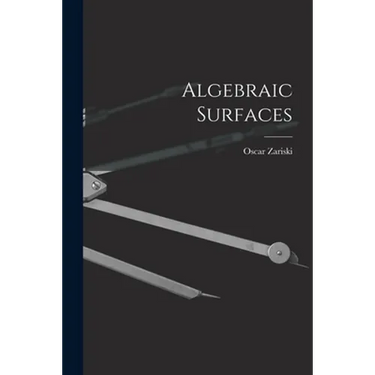 Algebraic Surfaces