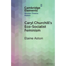 Caryl Churchill's Eco-Socialist Feminism