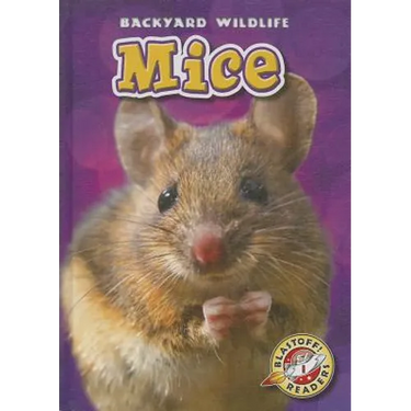 Mice