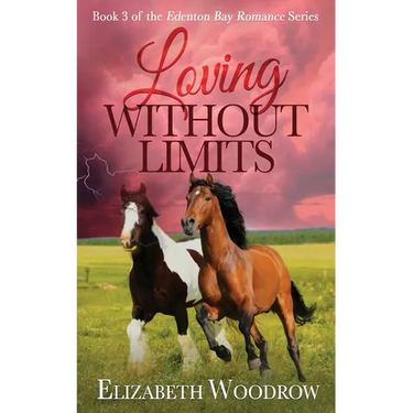 Loving Without Limits (Edenton Bay Romance Series, Book 3)