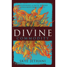 The Divine Commodity: Discovering a Faith Beyond Consumer Christianity