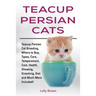 Teacup Persian Cats: Teacup Persian Cat Breeding, Where to Buy, Types, Care, Temperament, Cost, Health, Showing, Grooming, Diet and Much More Included