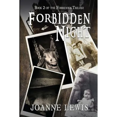 Forbidden Night