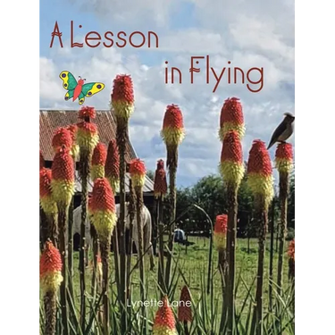 A Lesson in Flying