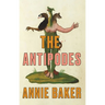 The Antipodes (TCG Edition)