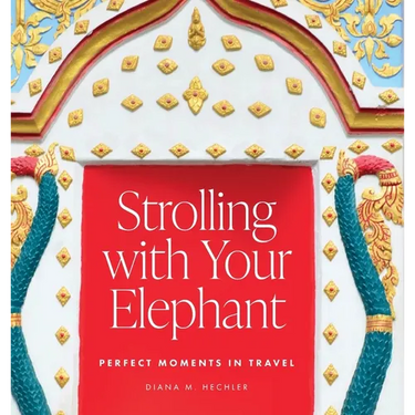 Strolling with Your Elephant: Perfect Moments in Travel