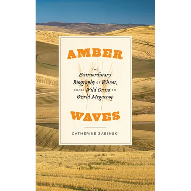 Amber Waves: The Extraordinary Biography of Wheat, from Wild Grass to World Megacrop