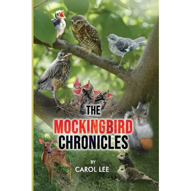 The Mockingbird Chronicles: The Early Days of a Wildlife Rehabilitation Center