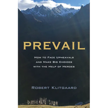 Prevail: How to Face Upheavals and Make Big Choices with the Help of Heroes