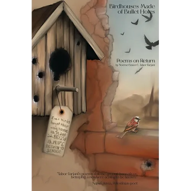 Birdhouses Made of Bullet Holes: Poems on Return
