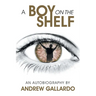 A Boy on the Shelf
