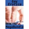 Gay Erotica Mega Bundle