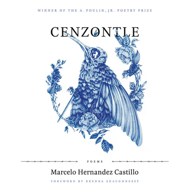 Cenzontle