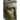 Rome's Vestal Virgins