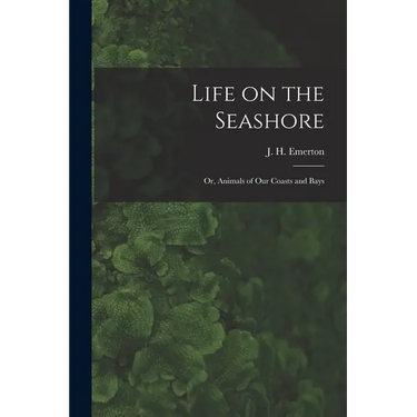 Life on the Seashore: or, Animals of Our Coasts and Bays