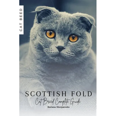 Scottish Fold: Cat Breed Complete Guide