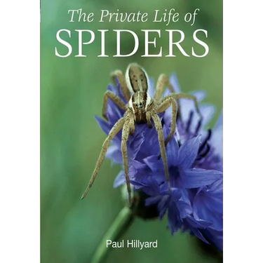 The Private Life of Spiders