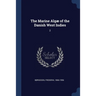 The Marine Algæ of the Danish West Indies: 2