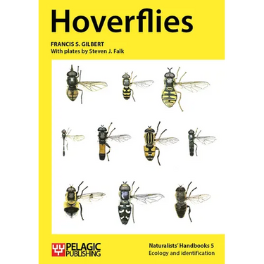 Hoverflies