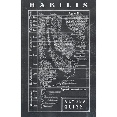 Habilis