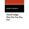 David Lodge: How Far Can You Go?