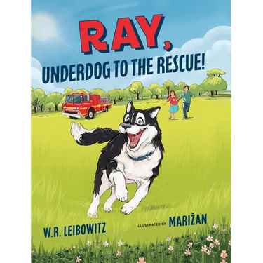 Ray, Underdog to the Rescue!